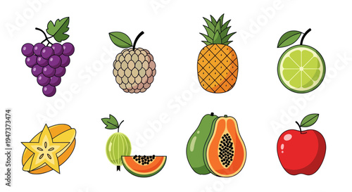 Colorful fruits collection illustration