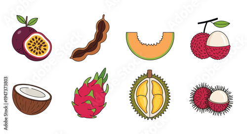Colorful tropical fruit vector illustrations
