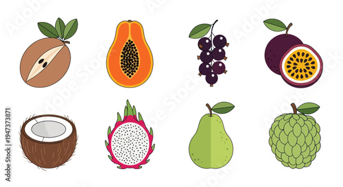 Colorful tropical fruits illustration