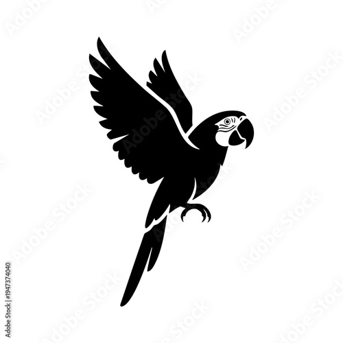 Graceful macaw in mid-flight with outspread wings