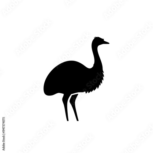 Elegant silhouette of a solitary emu standing in profile view