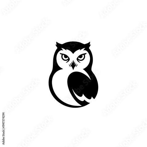 Black and white stylized owl with piercing eyes looking forward