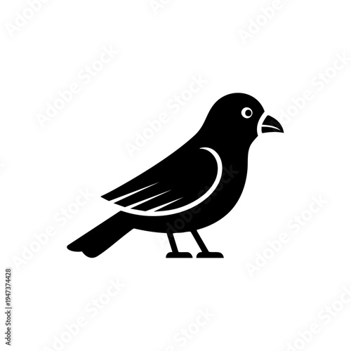A sleek black bird standing upright on a plain surface with a focused gaze
