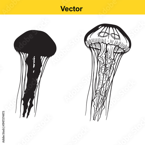 A black and white line art illustration of a cowboy riding a bucking bronco in a rodeo event