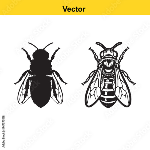 A black and white line art drawing of a cowgirl riding a rearing horse while swinging a lariat