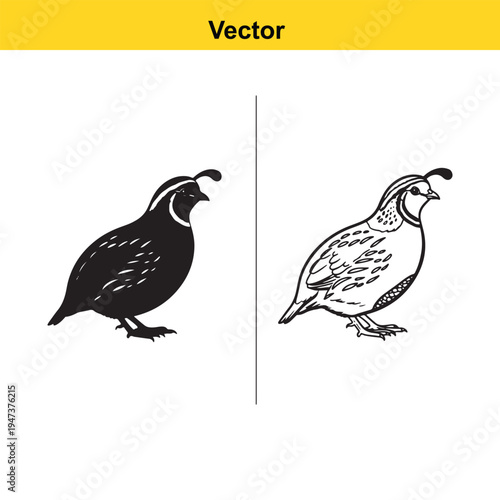 An orange monochrome illustration of a rodeo cowboy riding a bucking horse with a swinging lasso