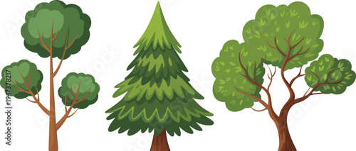 Cartoon forest tree collection including pine and leafy trees isolated on background, nature plant set for landscape design, ecology illustration and woodland concept