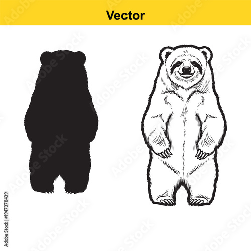 A black silhouette and a detailed line art drawing of a standing bear on a white background