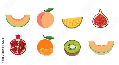 Colorful fruit slices illustration