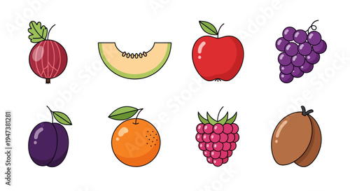 Colorful fruit collection vector illustration