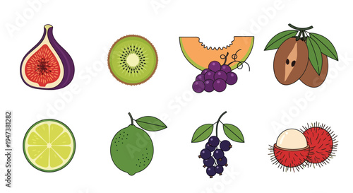 Colorful fruit illustration collection