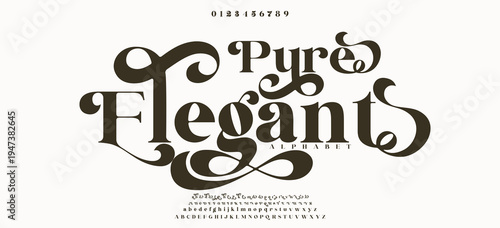 Pure Elegant Luxury wedding alphabet letters font with tails. Typography elegant classic serif fonts and number decorative vintage retro concept for logos branding. vector illustration