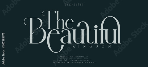 The Beautiful Elegant font alphabet uppercase lowercase and number. Classic lettering minimal fashion designs. Typography modern serif fonts regular decorative vintage concept. Vector illustration