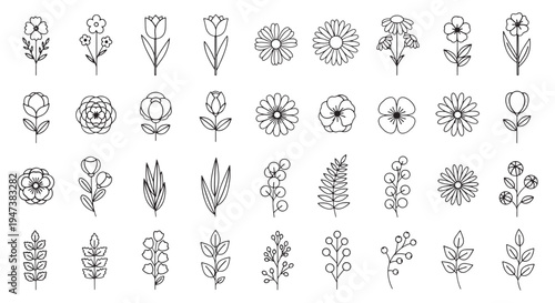 Simple Line Art Flowers and Botanical Elements for Design Projects