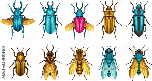 Colorful beetle insect vector set, geometric low poly bugs collection, scarab fly beetle illustration, entomology animals isolated icons