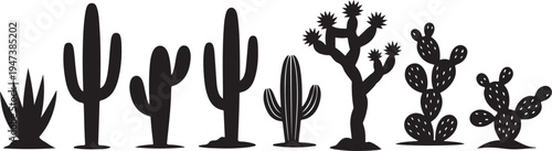 cactus lineup minimal desert plant silhouettes for print and web