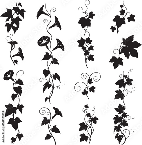 Black silhouettes of various leafy vines and plants on white background