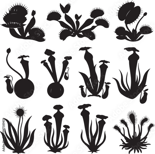 Silhouette illustrations of various carnivorous plants and tropical foliage  unique botanical designs