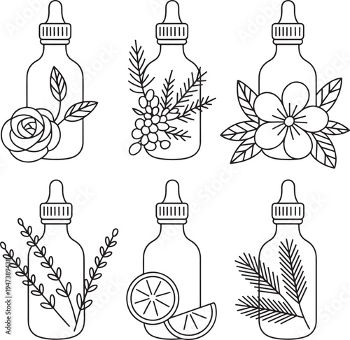 Essential oil bottles with herbs flowers and plants minimal line art botanical aromatherapy set