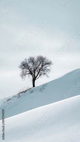 Minimalist Winter Landscape with Lone Bare Tree on Snowy Hill