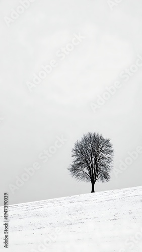 Minimalist Winter Landscape with Lone Bare Tree on Snowy Hill