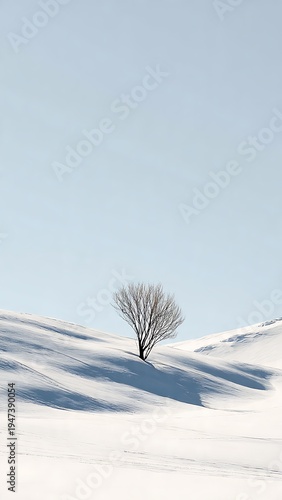 Minimalist Winter Landscape with Lone Bare Tree on Snowy Hill