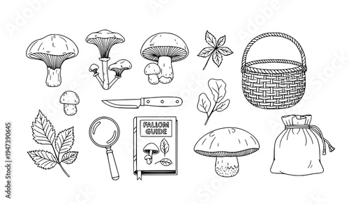 Mushroom foraging tools and forest finds outline vector set with basket knife and guide book