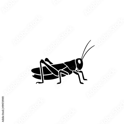Black and white illustration of a grasshopper in profile view