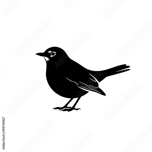 Blackbird standing on a flat surface with a detailed silhouette design