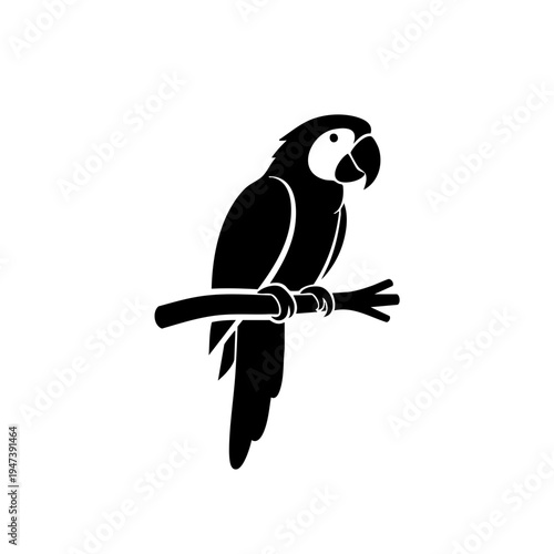 Graceful macaw perched elegantly on a branch with striking plumage and curved beak