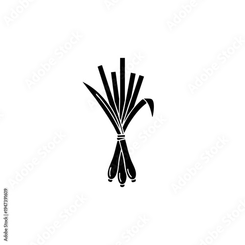 A bundle of dried wheat stalks tied together with a string