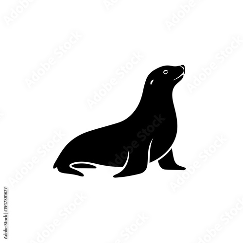 A sleek sea lion resting on a flat surface in a relaxed pose