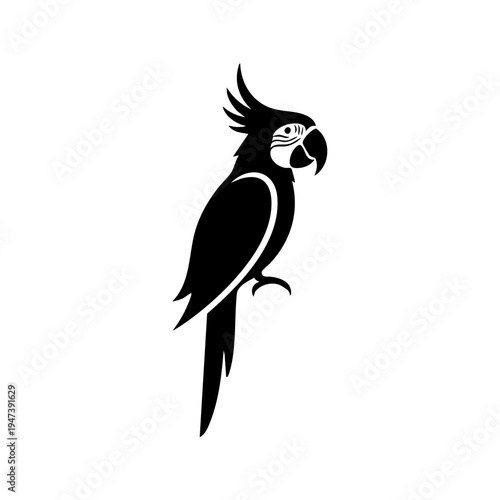 Graceful black and white silhouette of a cockatiel perched elegantly