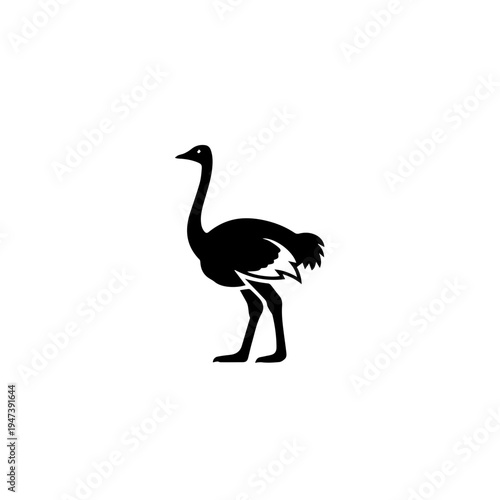 Graceful black and white silhouette of an ostrich standing upright