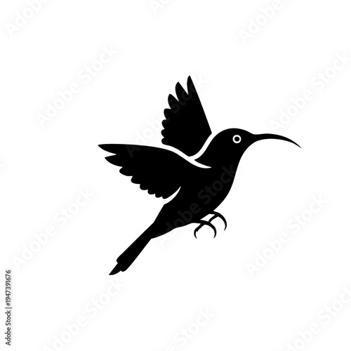 Graceful hummingbird in mid-flight with wings spread wide