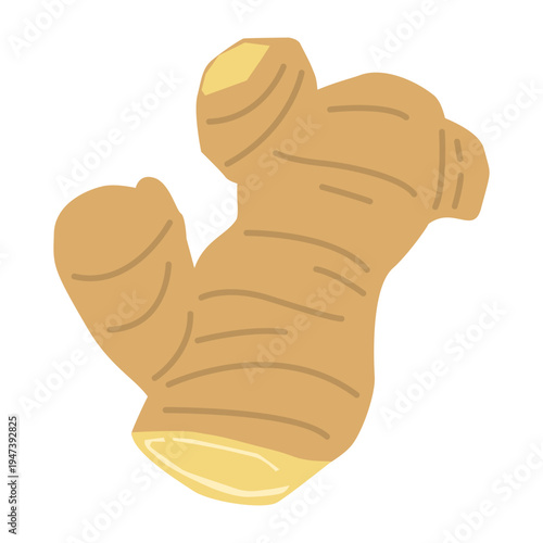 「生姜」野菜・食材のシンプルなイラスト素材