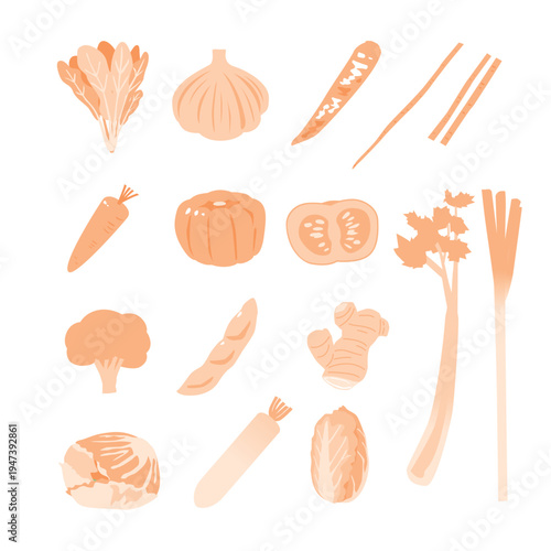 色々な野菜・食材のシンプルなイラスト素材