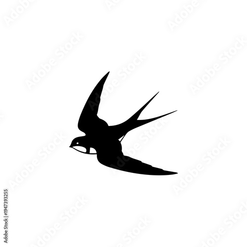 Graceful swift bird captured in mid-flight with wings spread wide