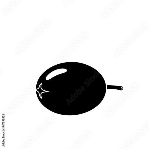 A sleek black bird perched with a slender tail and beak