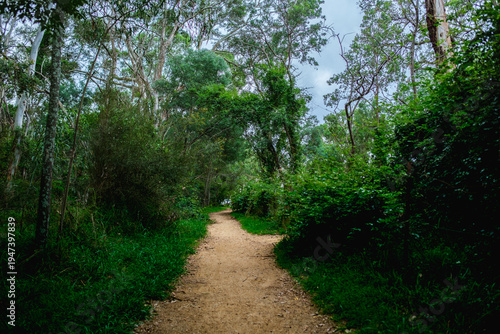 Wallpaper Mural Camden, NSW, Australia – February 16, 2026: historic town street scene with local shops and cafes, small-town architecture and roadside daily life in Camden, New South Wales editorial image Torontodigital.ca