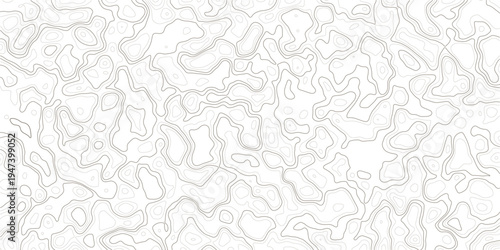 Abstract topographic map illustration with wavy lines and contours on white background