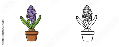 Hyacinth flower in flat colorful and linear style in ceramic pot for spring garden decoration and floral design in minimal cartoon aesthetic for nature themed craft project