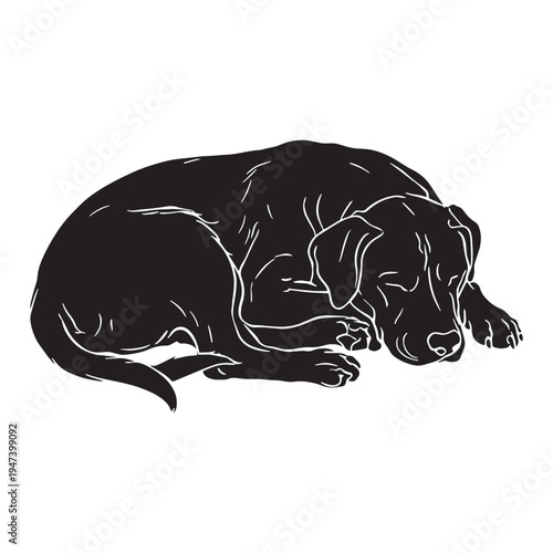 Powerful and Loyal Armenian Gampr – Ancient Livestock Guardian Dog, Brave Mountain Protector, Intelligent Working Breed, Strong Watchdog, Protective Family Companion, Traditional Armenian Shepherd.