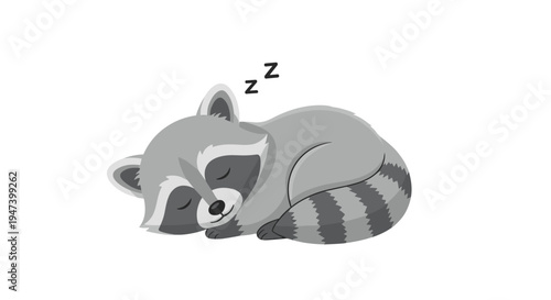 A delightful cartoon illustration of a plump grey raccoon, curled up and sound asleep with zzz letters floating above its head, rests on a clean white background.