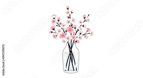 A transparent glass vase filled with water holding multiple delicate cherry blossom branches adorned with pink and white flowers on a white background.