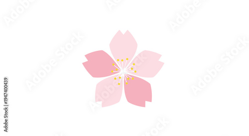 A minimalist illustration depicts a single stylized cherry blossom flower with five soft pink petals and yellow stamens on a white background.