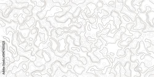 Gray abstract topographic map lines on white background texture pattern