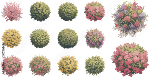 Colorful top view bush and shrub collection vector set, decorative garden plants, landscaping foliage elements, botanical texture circles for park design, map assets, and nature illustration