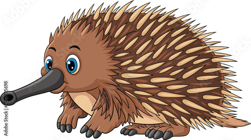 Cute cartoon echidna character with long snout and spiky quills, brown Australian wildlife animal vector illustration isolated on white background for kids design use