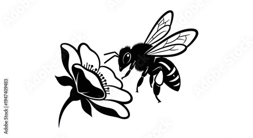 Bee approaching flower illustration black and white vector design